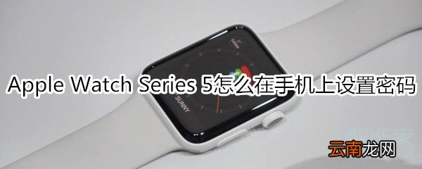 Apple Watch Series 5怎么在手机上设置密码