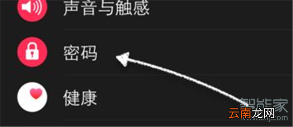 Apple Watch Series 5怎么在手机上设置密码