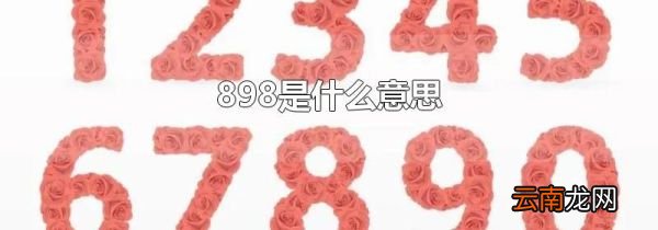 898是什么意思