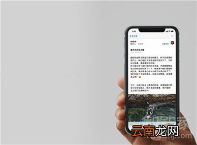 iphone11怎么返回主屏幕