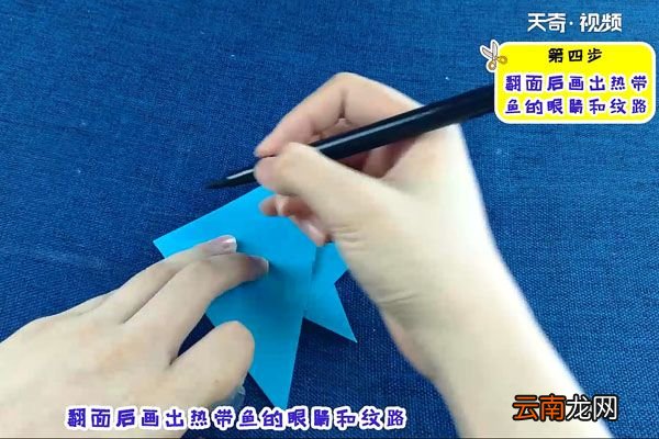 热带鱼怎么折