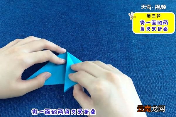 热带鱼怎么折