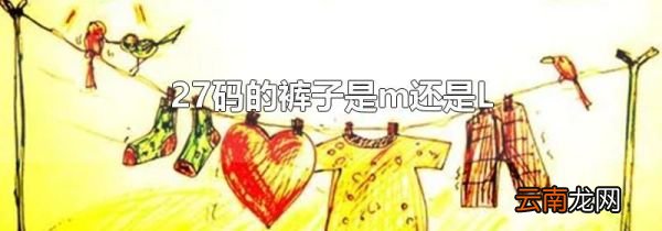 27码的裤子是m还是L