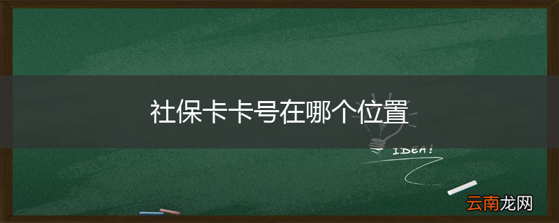 社保卡卡号在哪个位置