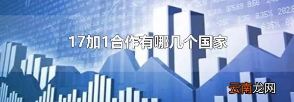 17加1合作有哪几个国家
