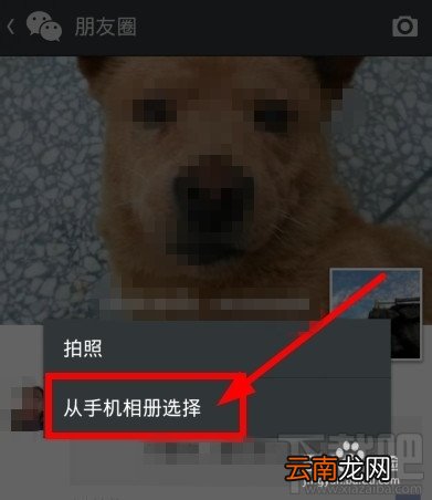 微信朋友圈怎么转发?微信朋友圈分享资源要转发到我的朋友圈怎么办?