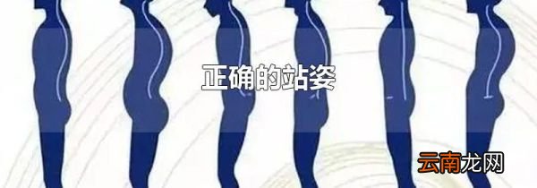 正确的站姿