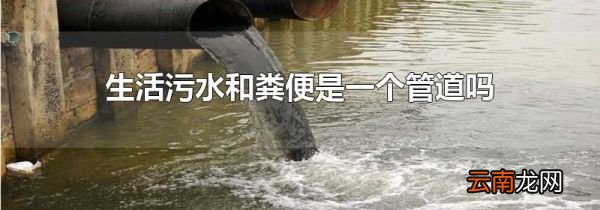 生活污水和粪便是一个管道吗