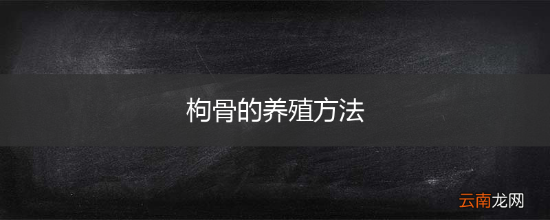 枸骨的养殖方法