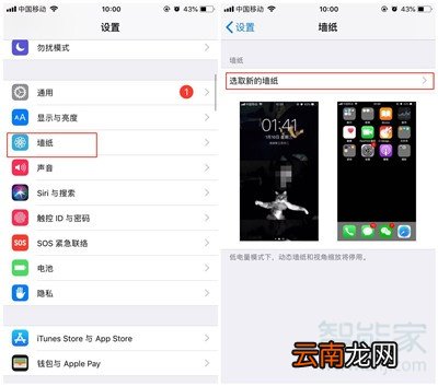 iphone11怎么设置墙纸