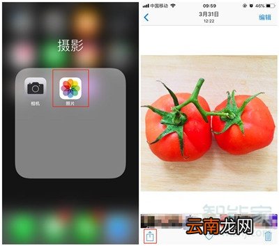 iphone11怎么设置墙纸