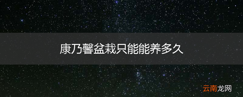 康乃馨盆栽只能能养多久