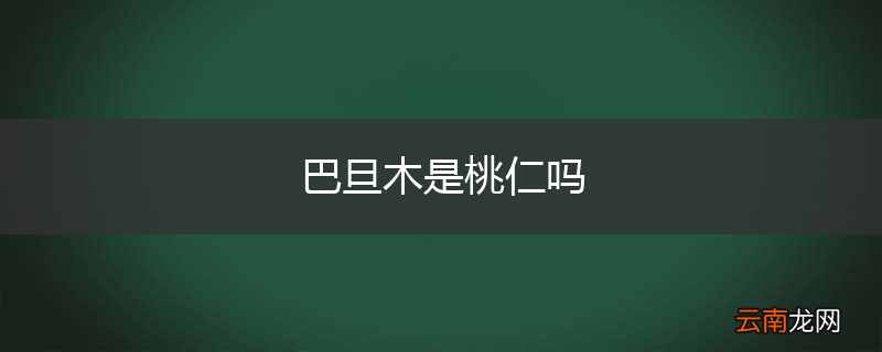 巴旦木是桃仁吗