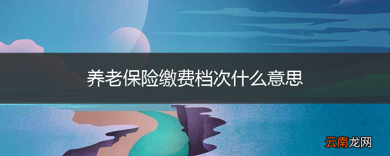 养老保险缴费档次什么意思