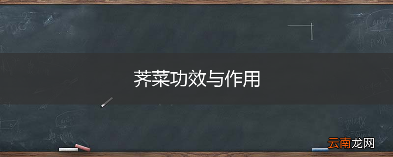 荠菜功效与作用