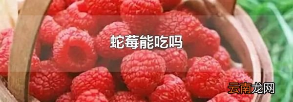 蛇莓能吃吗