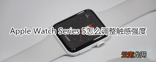 Apple Watch Series 5怎么调整触感强度