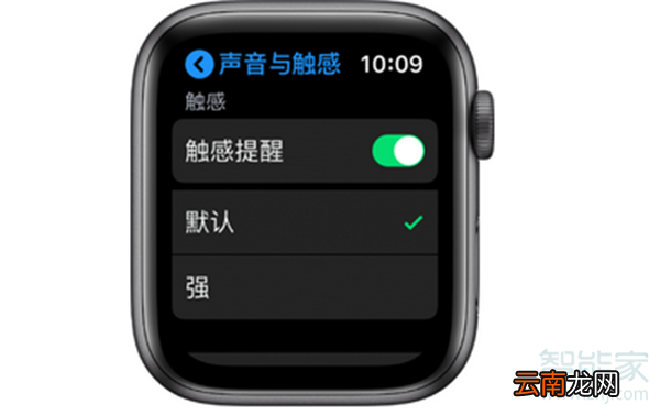 Apple Watch Series 5怎么调整触感强度