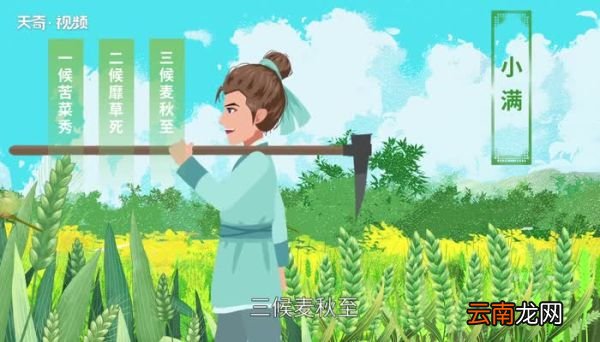 人生最好是小满的寓意 人生最好是小满的意思