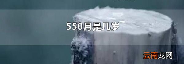 550月是几岁