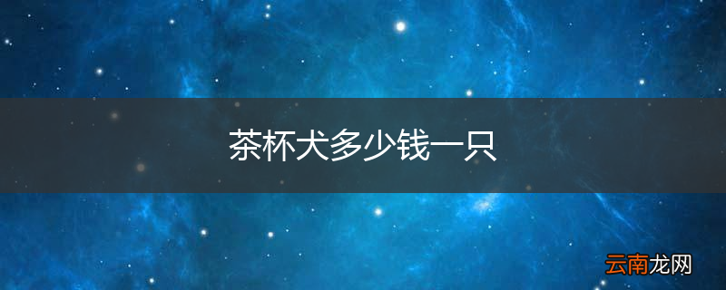 茶杯犬多少钱一只