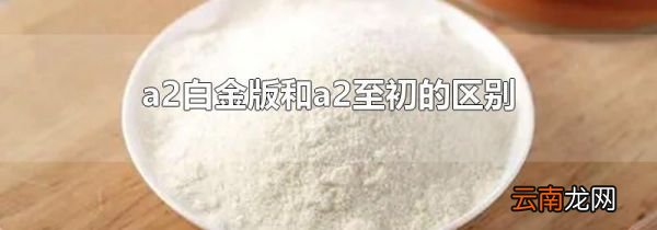 a2白金版和a2至初的区别