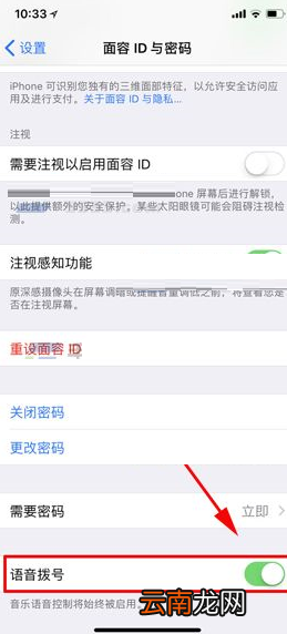 iPhone X设置语音拨号的操作过程