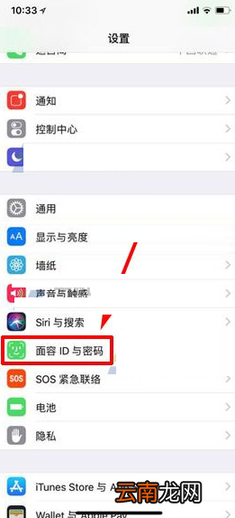 iPhone X设置语音拨号的操作过程