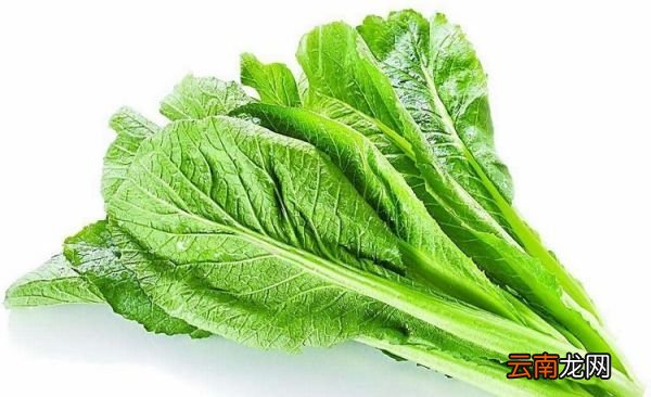 春分为什么要吃春菜？