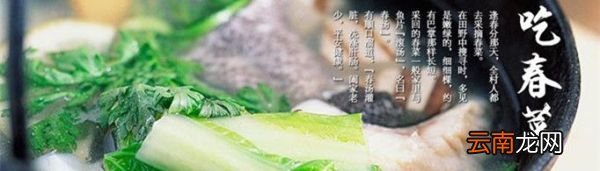 春分为什么要吃春菜？