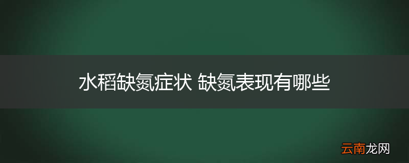 水稻缺氮症状 缺氮表现有哪些