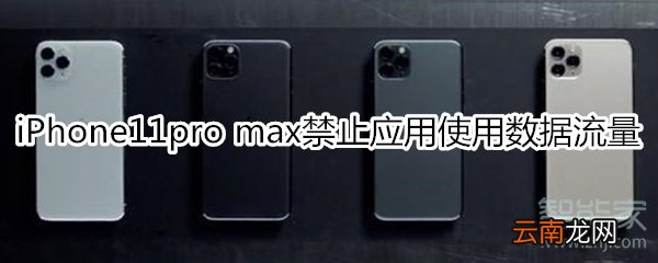 iPhone11pro max怎么禁止应用使用数据流量
