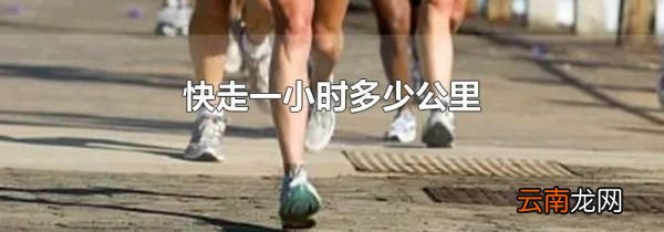 快走一小时多少公里