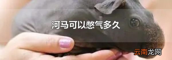 河马可以憋气多久