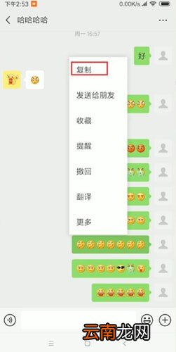微信中查看表情含义的具体操作方法