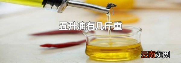 五升油有几斤重