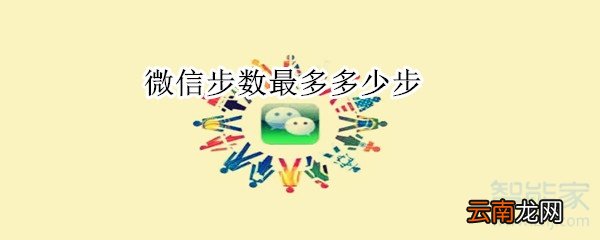 微信步数最多多少步