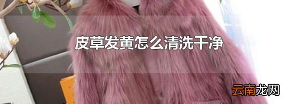 皮草发黄怎么清洗干净