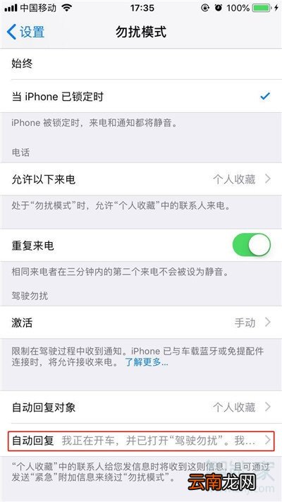 iphone11怎么设置自动回复内容