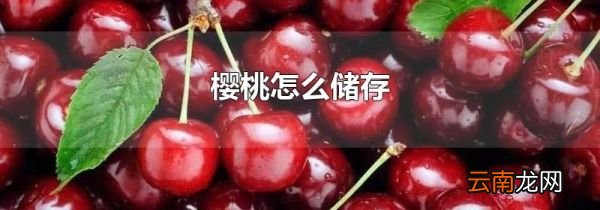 樱桃怎么储存