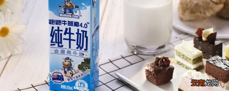 能不能空腹喝纯牛奶