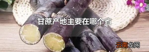 甘蔗产地主要在哪个省