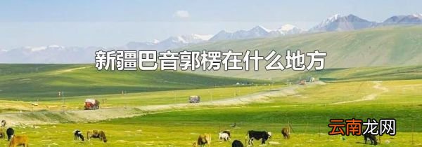 新疆巴音郭楞在什么地方