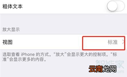 iPhone11pro max怎么更改桌面图标大小