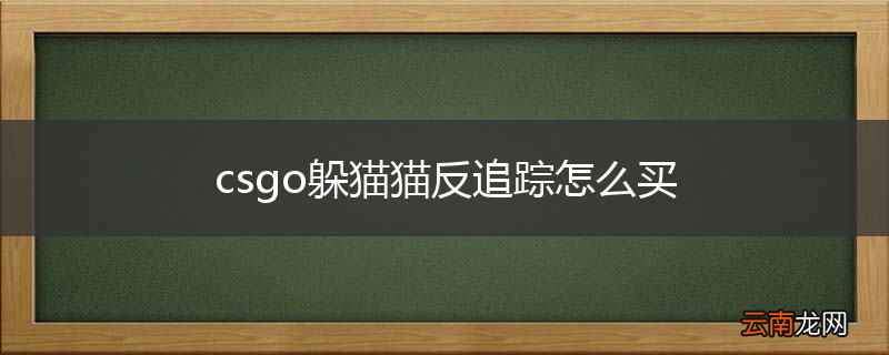 csgo躲猫猫反追踪怎么买