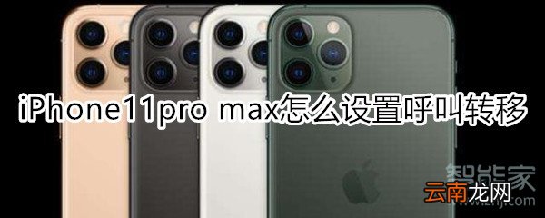 iPhone11pro max怎么设置呼叫转移