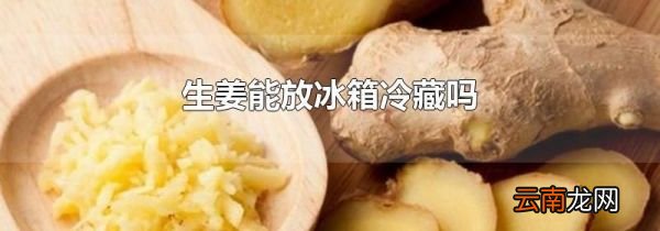 生姜能放冰箱冷藏吗
