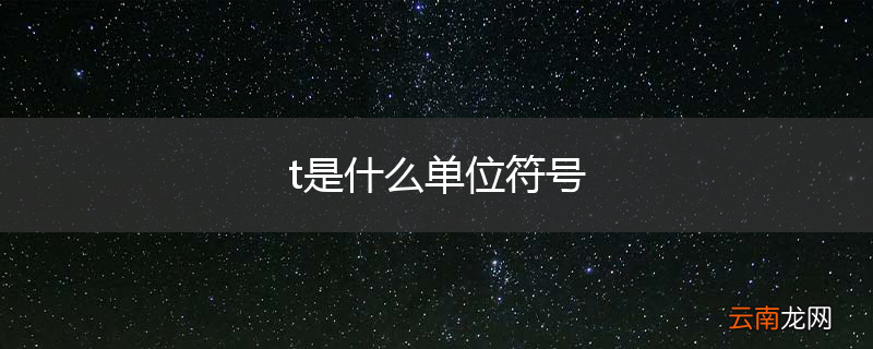 t是什么单位符号
