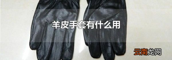 羊皮手套有什么用