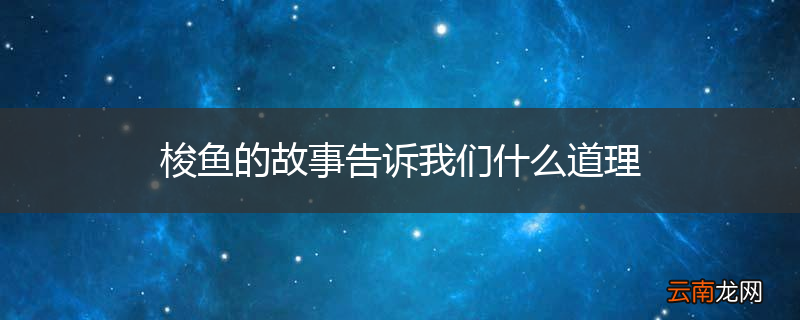 梭鱼的故事告诉我们什么道理
